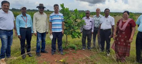 Director DCCD to Khordha Division replanting work verification